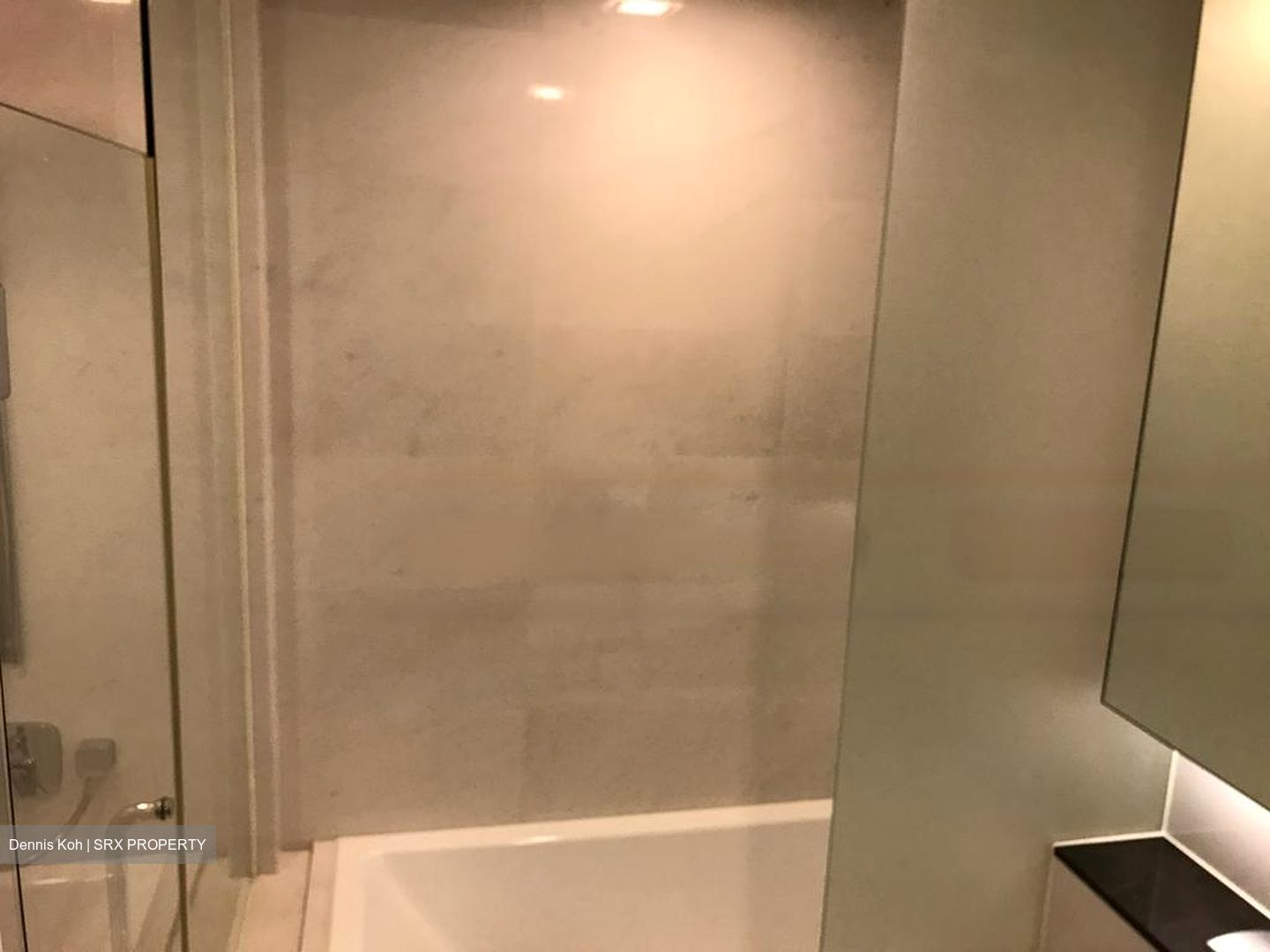 Nathan Suites (D10), Condominium #458921811
